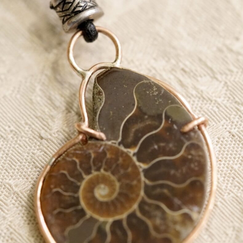 Ancient Ammonite in Copper 