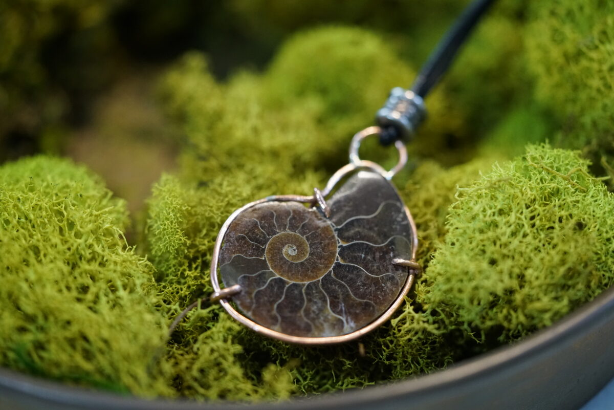 SOLD Ancient Ammonite in Copper 